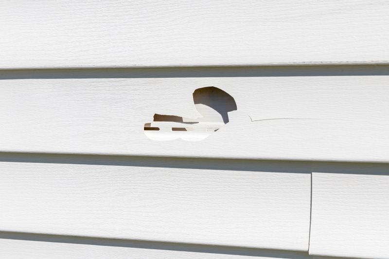 Vinyl Siding Damage Inspection