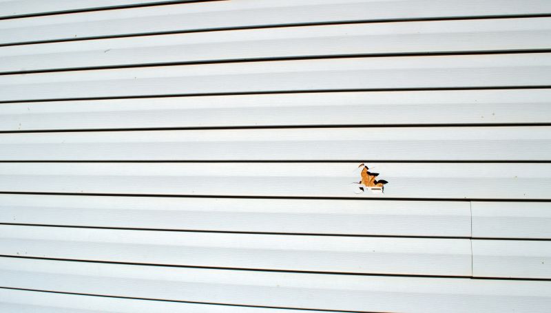 Vinyl Siding Repair in Fall